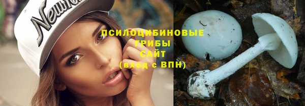 дживик Белокуриха