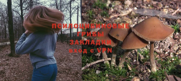 соль ск Белоозёрский