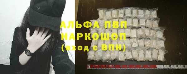 дживик Белокуриха