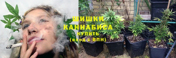 наркотики Бородино