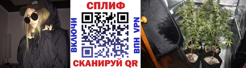 Бошки марихуана семена  Великие Луки 